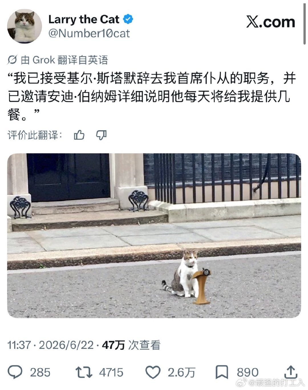 都来接一下Larry的事业运和长寿运吧ps：此咪今年已经19岁且熬走了六任英国首