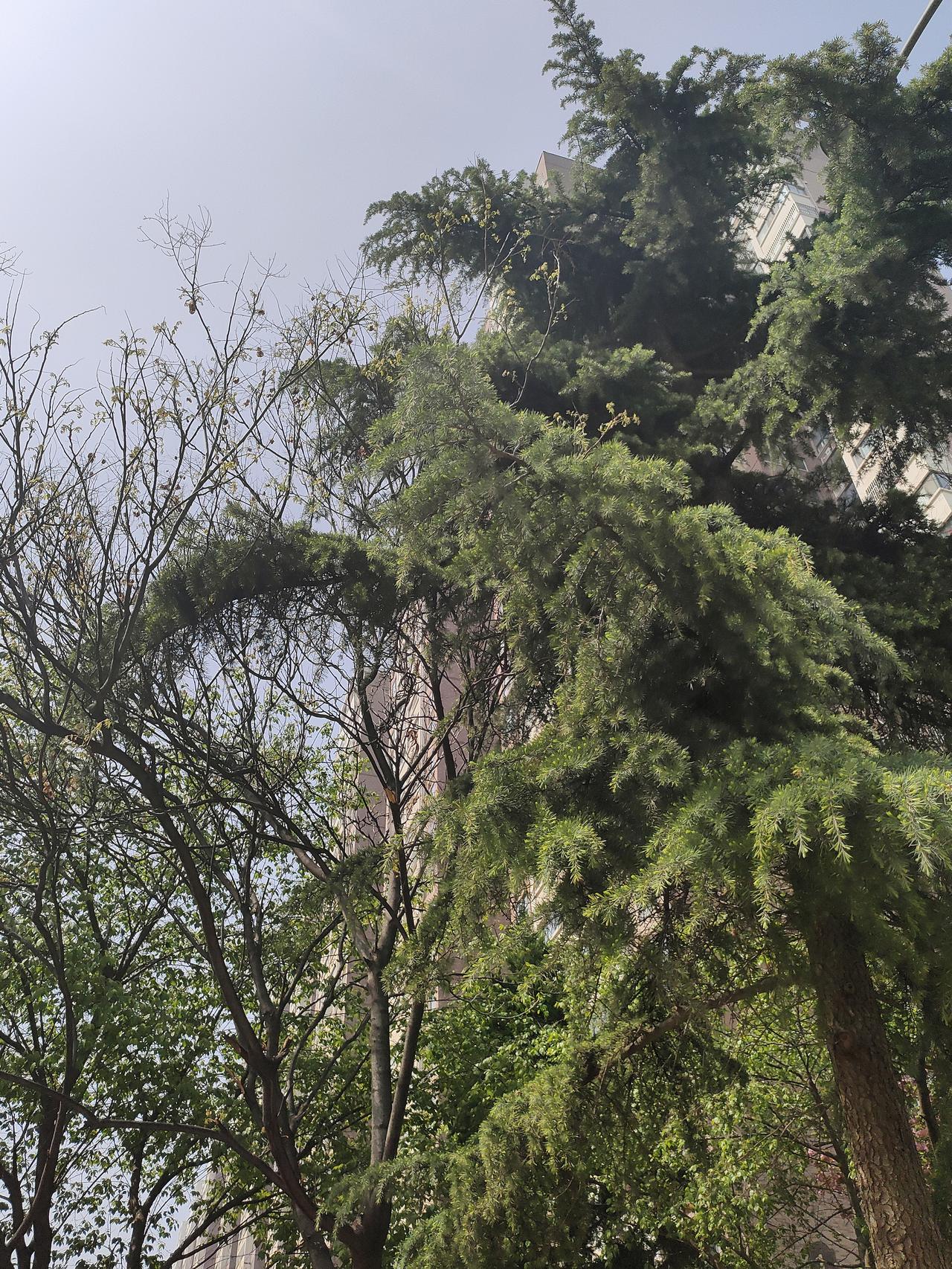 人老了，走过了大半辈子，尝过了酸甜苦辣，看过了人情冷暖，心里的愿望早就不像年轻时