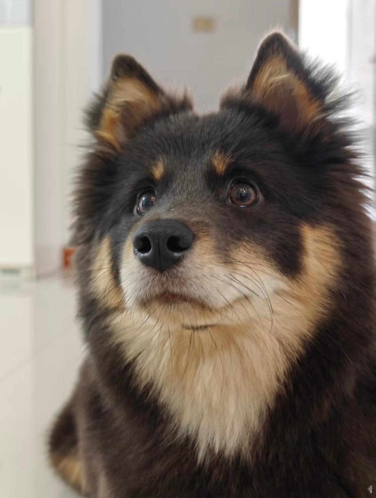 puppy eyes🥺 