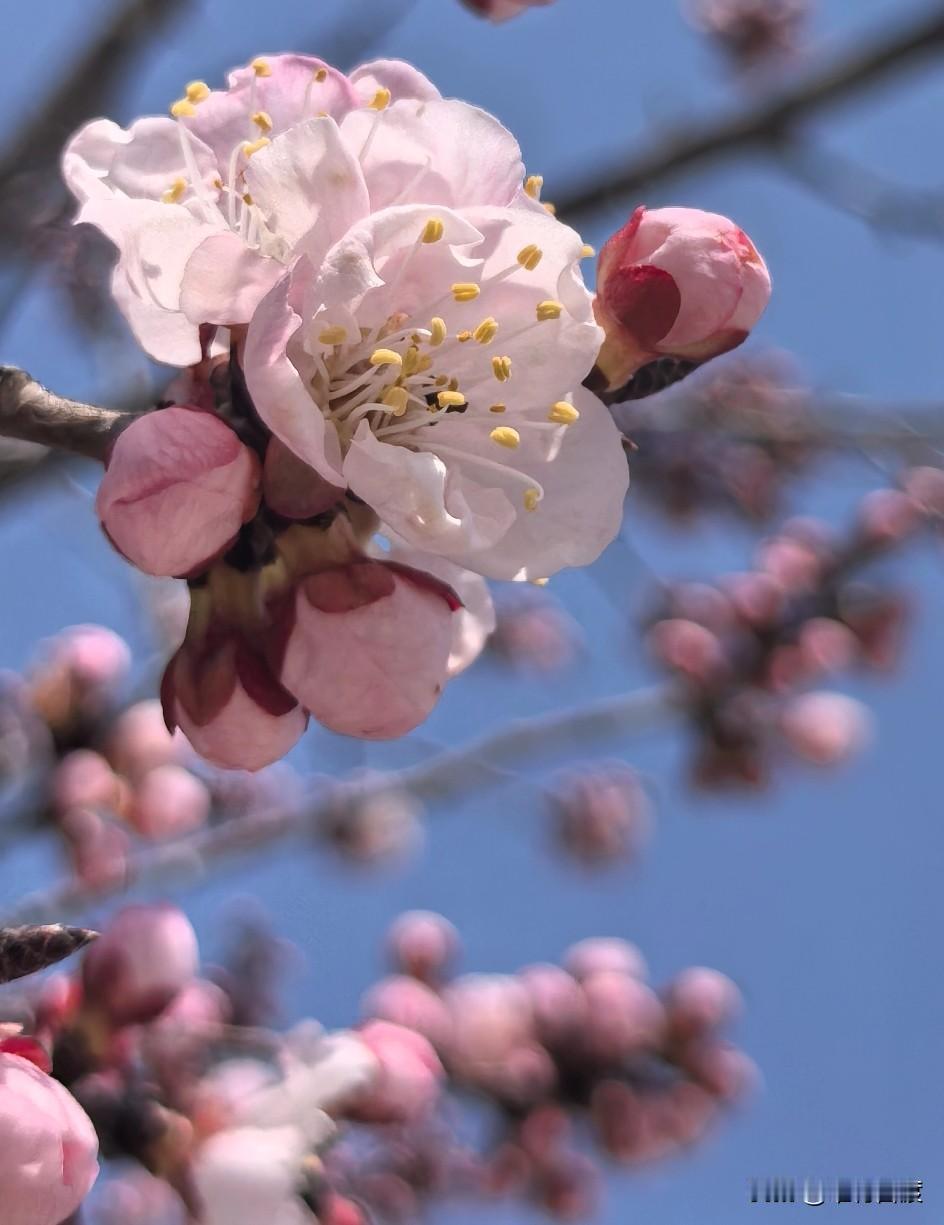这是好悬出了人命。这样的事情多发生在年轻无知的初恋情人中，女孩应当引起重视，觉得