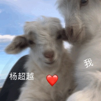 八年了，我们天下第一好