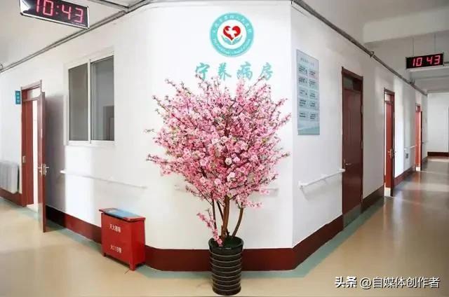 南宁夫妻的生死抉择：肺癌晚期妻子求去安宁病房，丈夫的坚守看哭无数人
 
生离死别