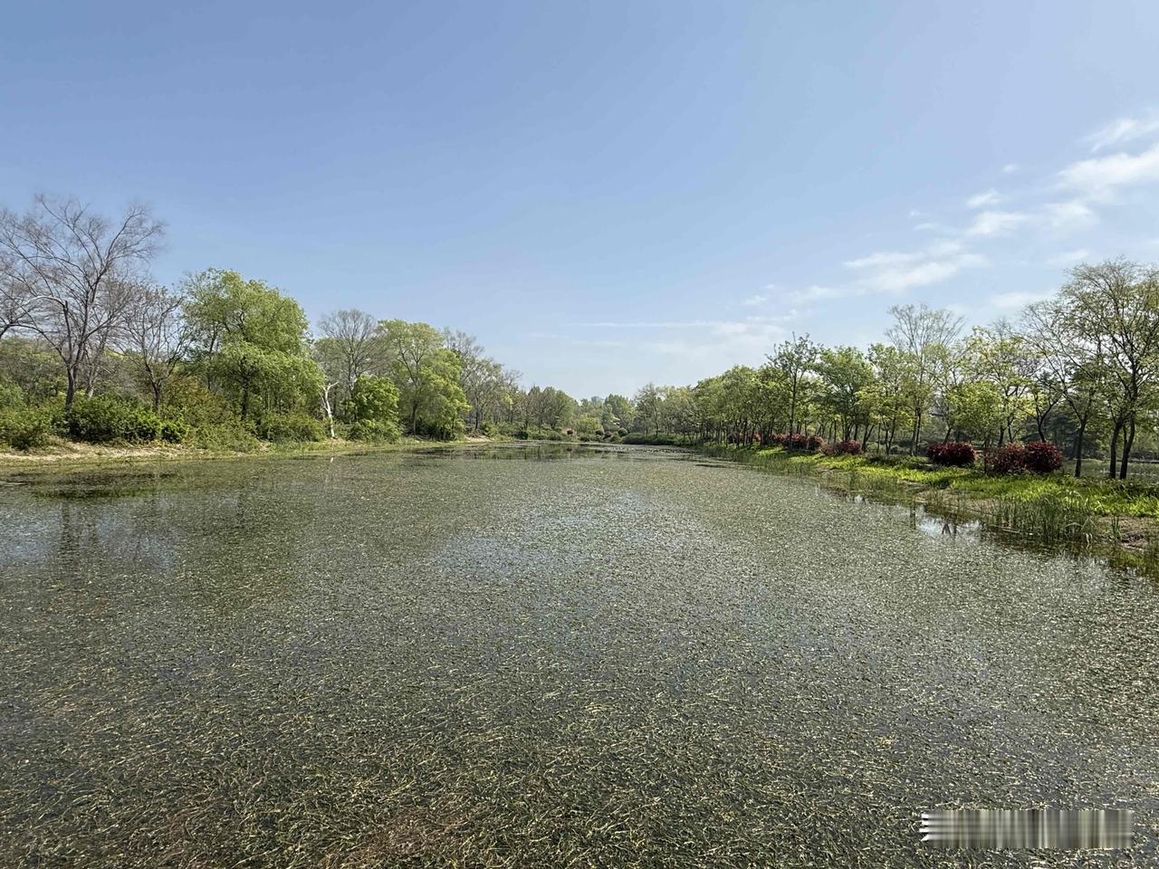 【小对联】
上：……？
下：浪尖。