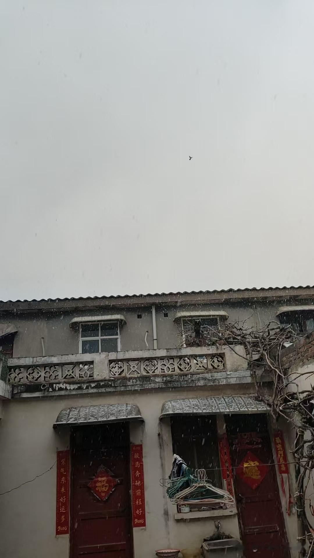 下雪了，纷纷扬扬，岁月就是这样，一层层覆盖，让你我满头白霜！
最残酷的是，这些年