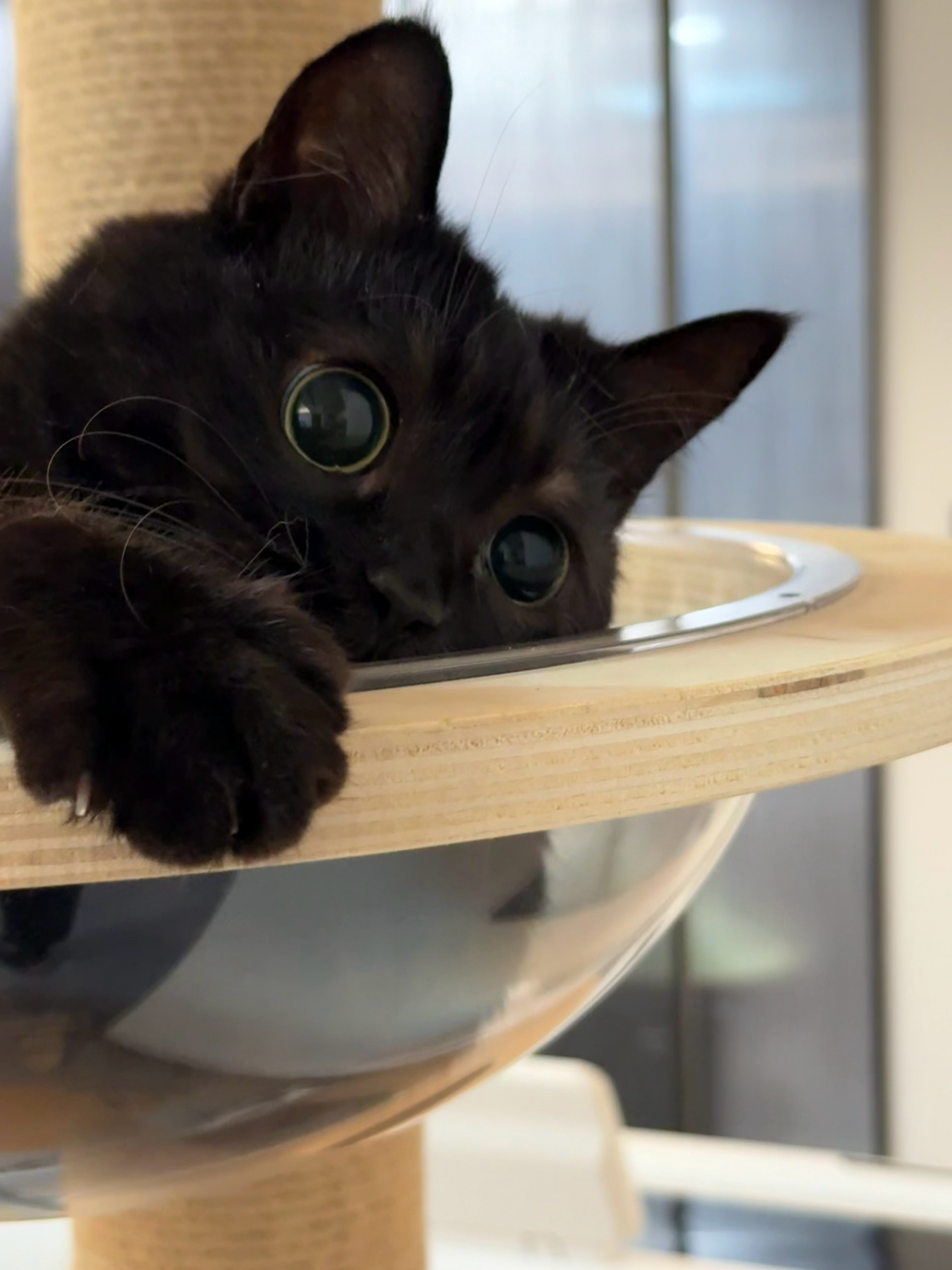 C++猎杀时刻！ 