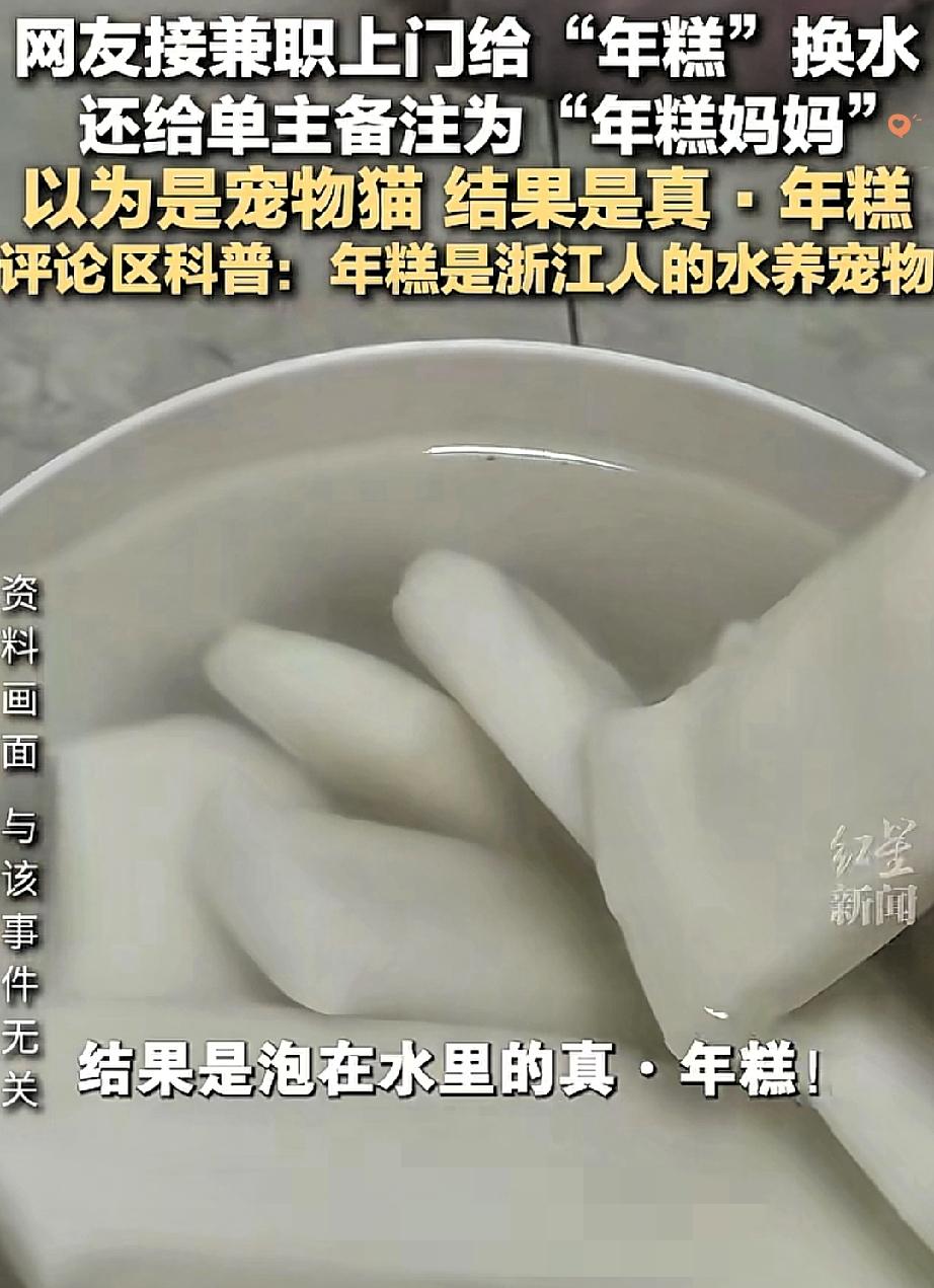浙江女子接兼职给“年糕”换水，以为是水养宠物，上门一看直接懵圈，这误会也太可爱了