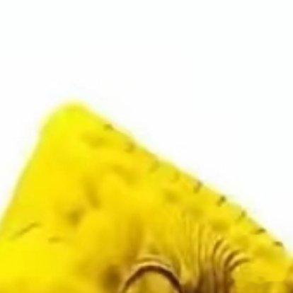 仕佳光子，从两三年看，仕佳的基本面确定性还是非常强的：在手订单饱满、高端 AI 