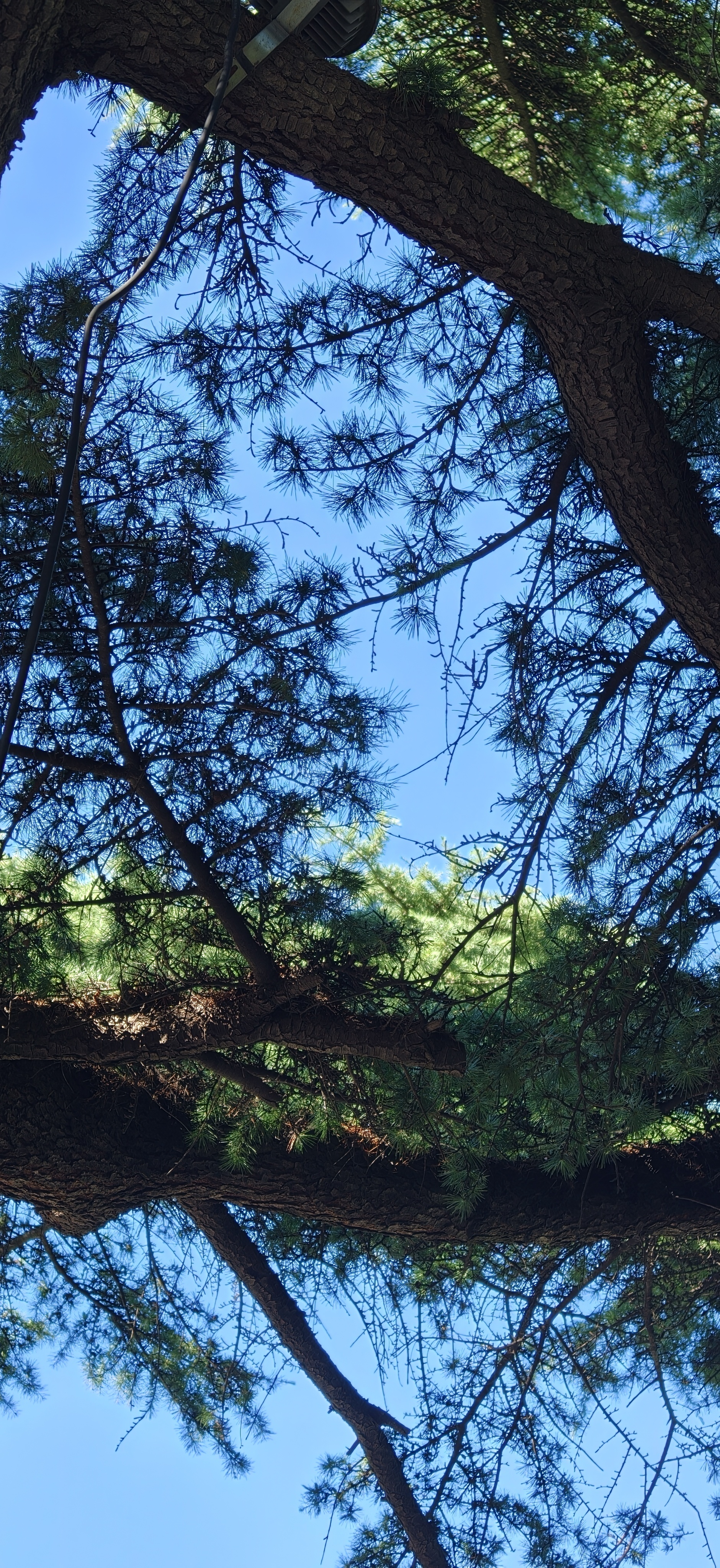 忙着抓住夏天的尾巴 