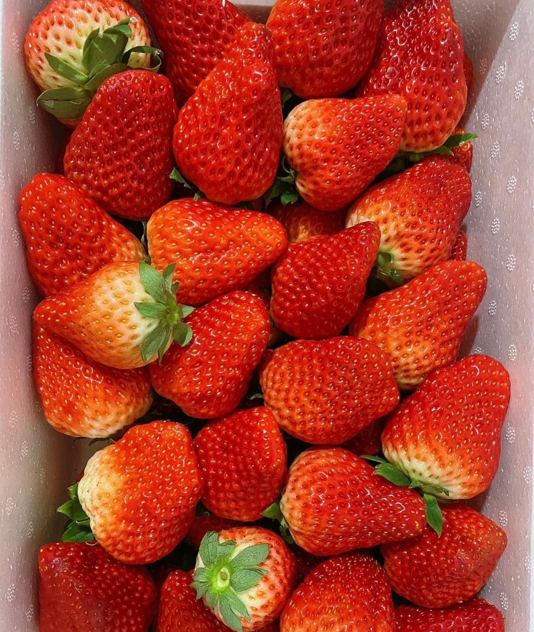 一些红色系水果🍎🍓🍉🍅🍒 ​​​