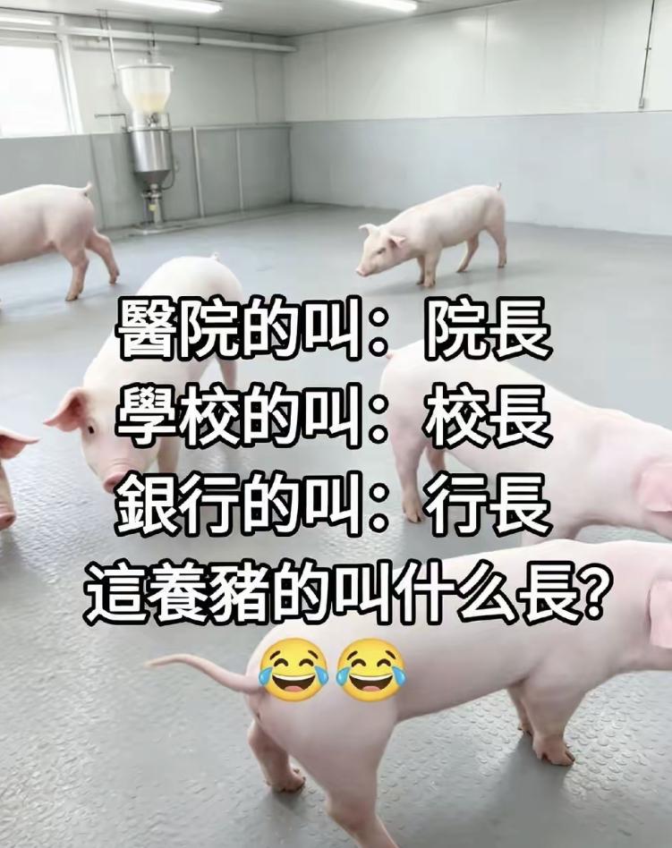 你们觉得叫什么比较好？