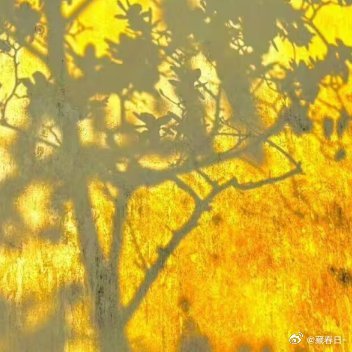 0000人生不只有诗与远方，还有眼前的苟且，感受现在的风景，感悟热爱与被善待的美