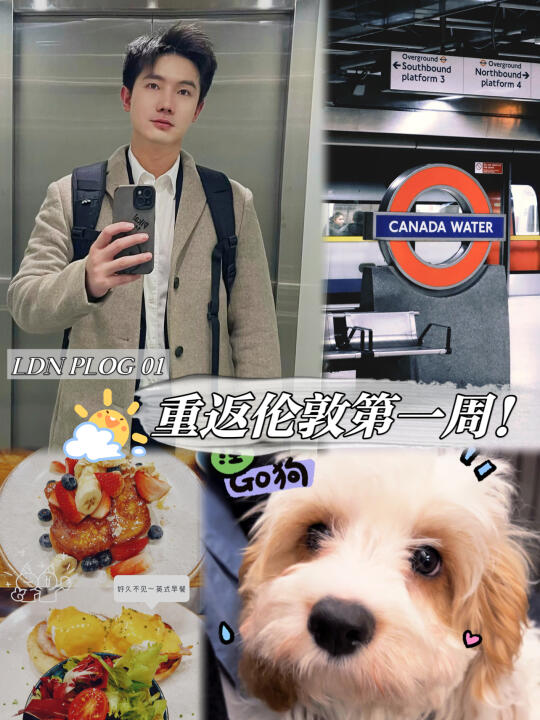 2025年入职英国律所💼