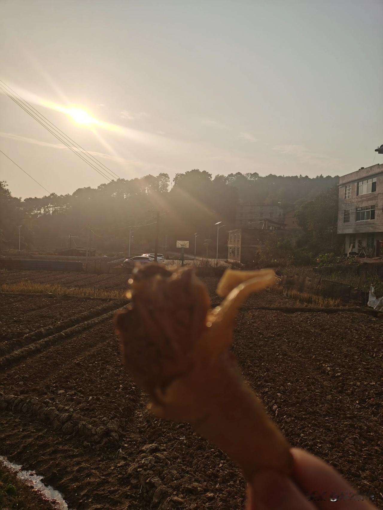 浅浅的吃个鸡腿🍗
真正的土鸡，没喂过饲料，养足天数
鸡有鸡味就是这种鸡了[赞]