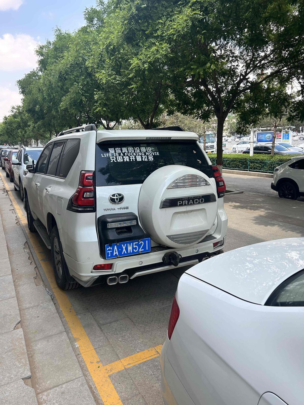 爱你真的没法说，
只因我开普拉多