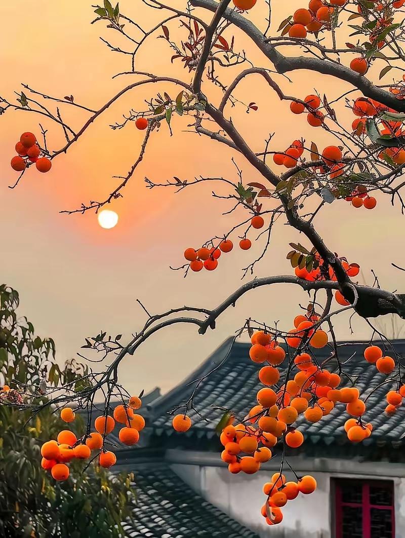 平凡日子里的非凡诗行

平凡的日子，似潺潺溪流，无声却滋养着生命的每一寸土地。它