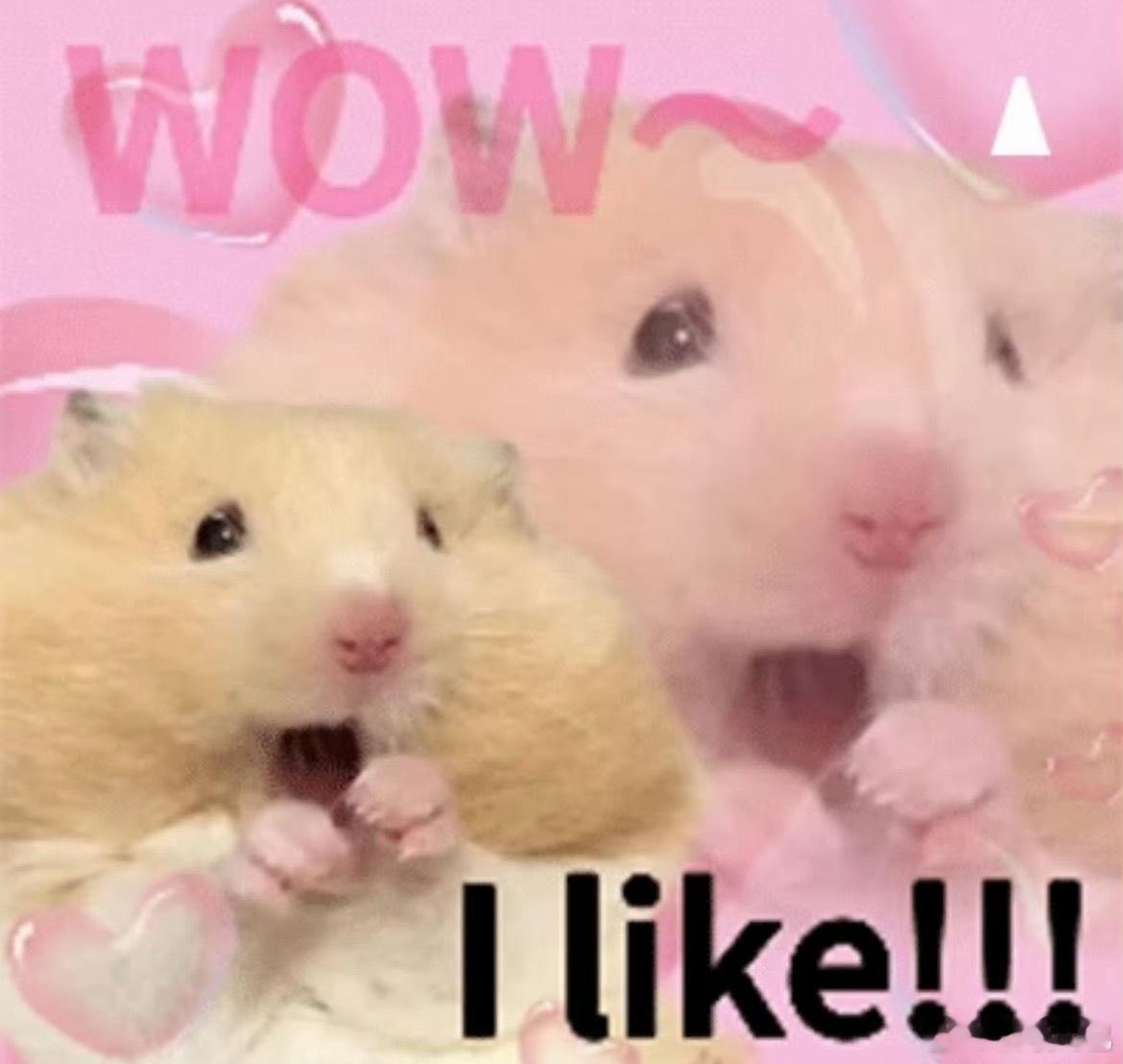 年轻人的问题能有多抽象那些火遍网络的抽象名场面，看似离谱又搞笑，却精准戳中了大家