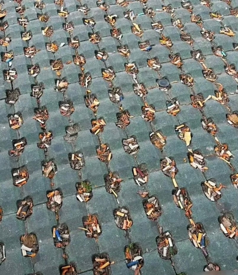 终于知道铺这种地砖的意义了 