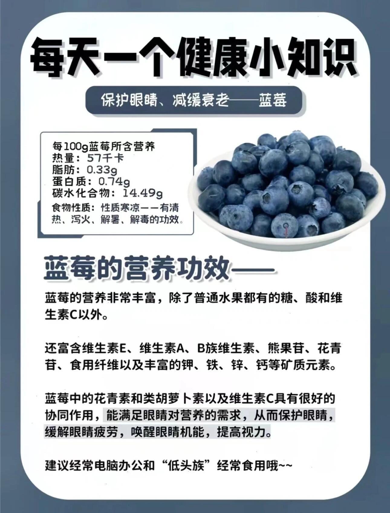 把蓝莓当消炎药吃 我甚至买了一盆蓝莓！！一定要好好长大啊！！！ 