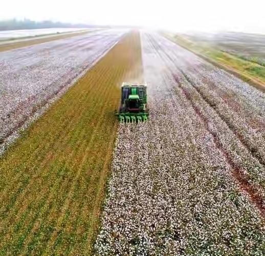 繁荣的新疆兵团

71年来，新疆兵团取得了累累硕果。

时光如奔流不息的河流，新