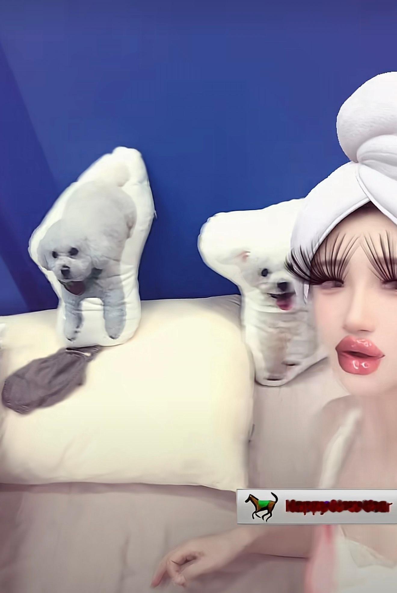 何宣林女士请正确用脸 