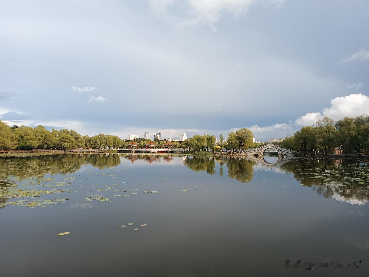 雨后的长春南湖公园
从灌汤包店出来，雨已经减小，儿媳说晚上五点雨就会停，天气预报