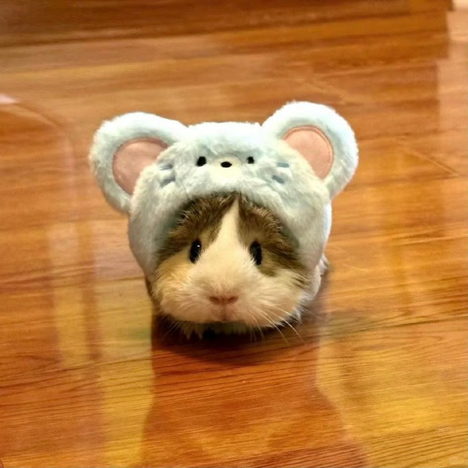 唉~ 