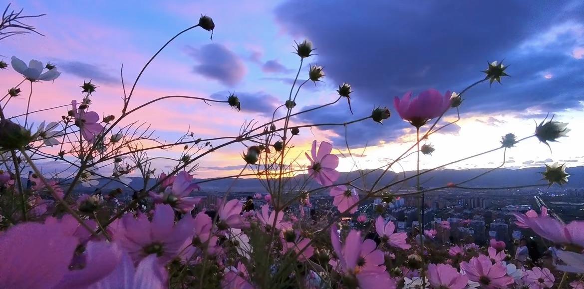 【最新榜单】这座小城碾压北上广，登顶中国“幸福之城”！原因让人意想不到……

最