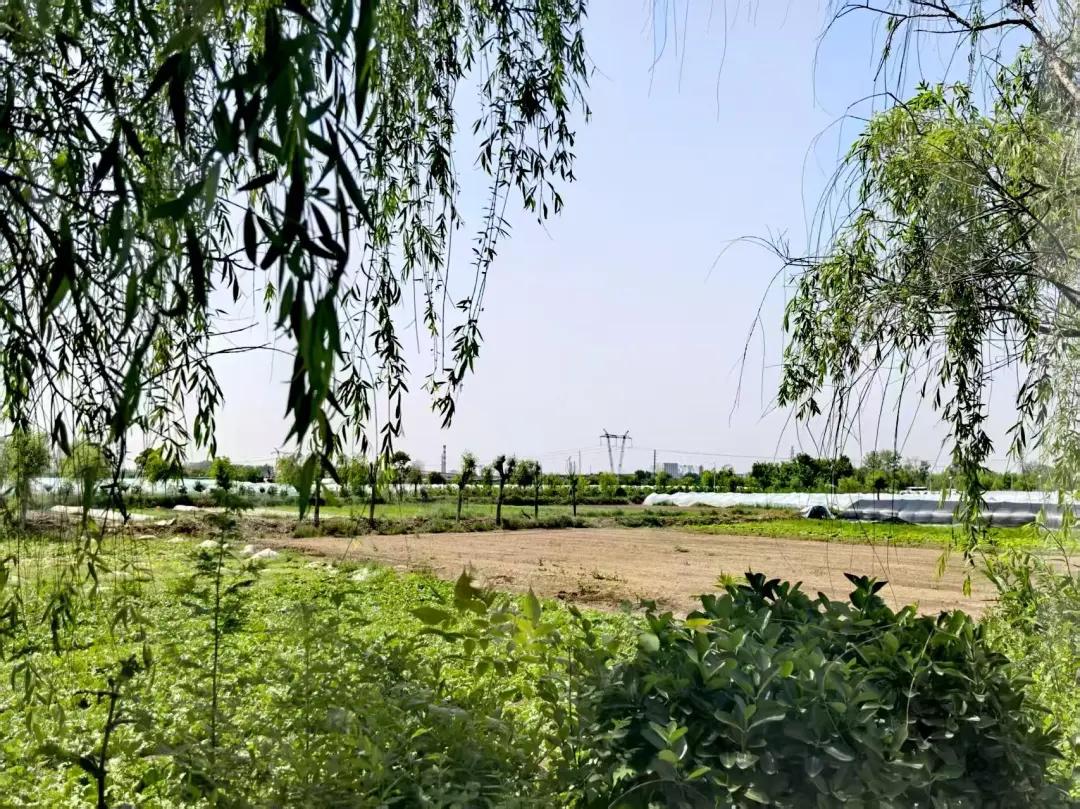 【西安这座小村庄，竟是汉代“皇家铸币厂”！】西安市的相家巷村，是汉长安城遗址区西