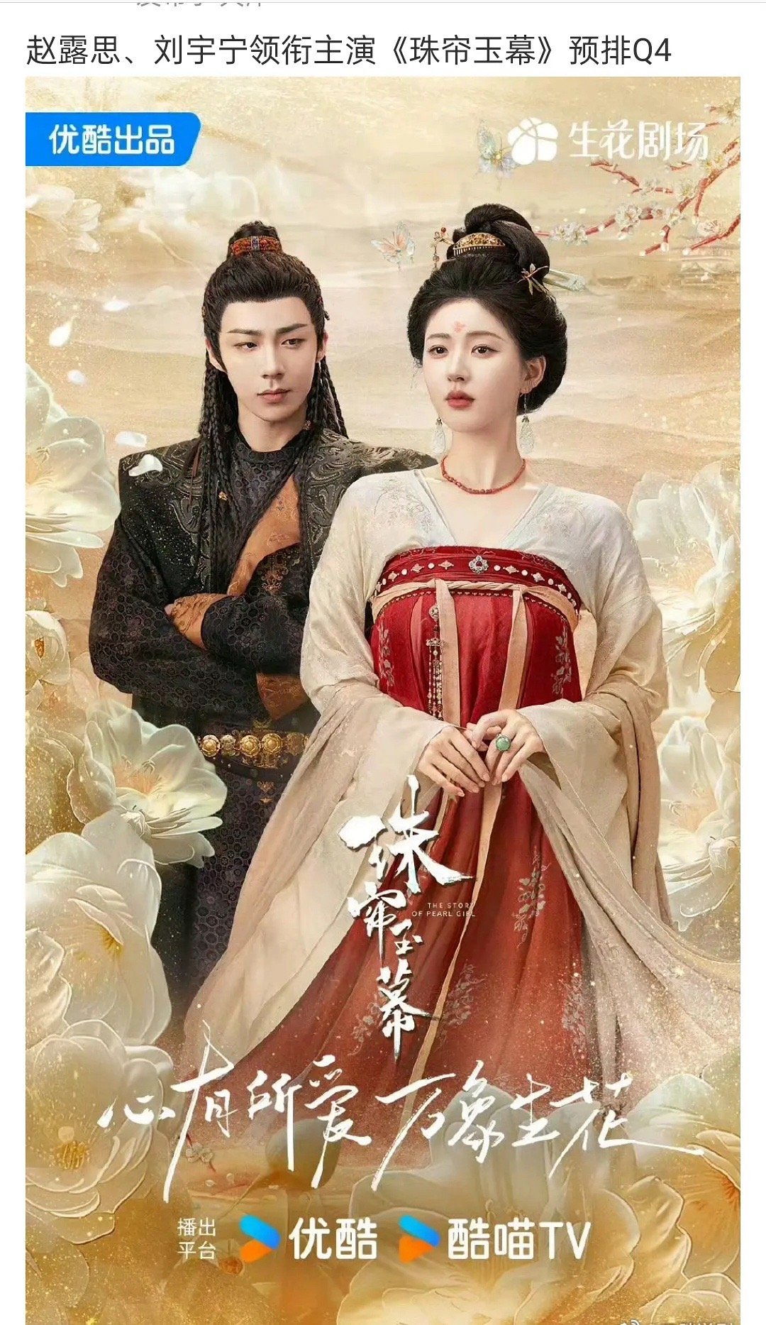 刘宇宁搭配赵露思的古装剧来了，看这个海报原来赵露思是一番 ​​​