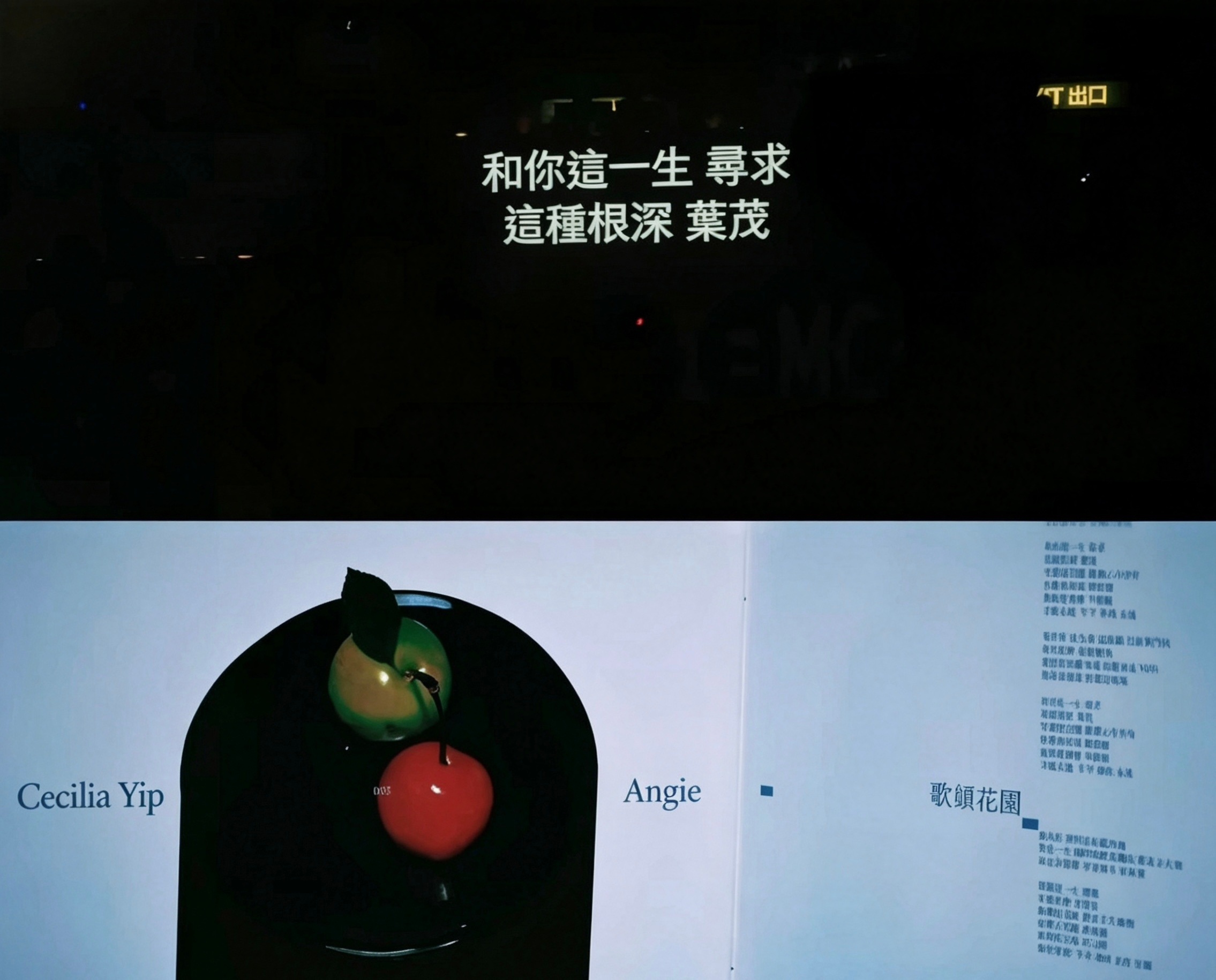 童兒種子就這樣