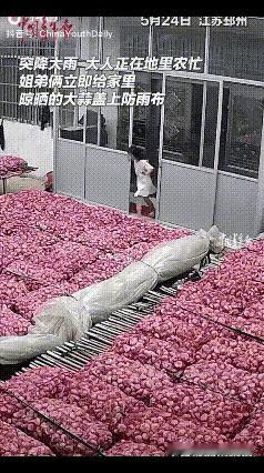 “这两个孩子，真的太懂事了！”江苏邳州，一位妈妈把大蒜摊在院子里晾晒，随后便去田