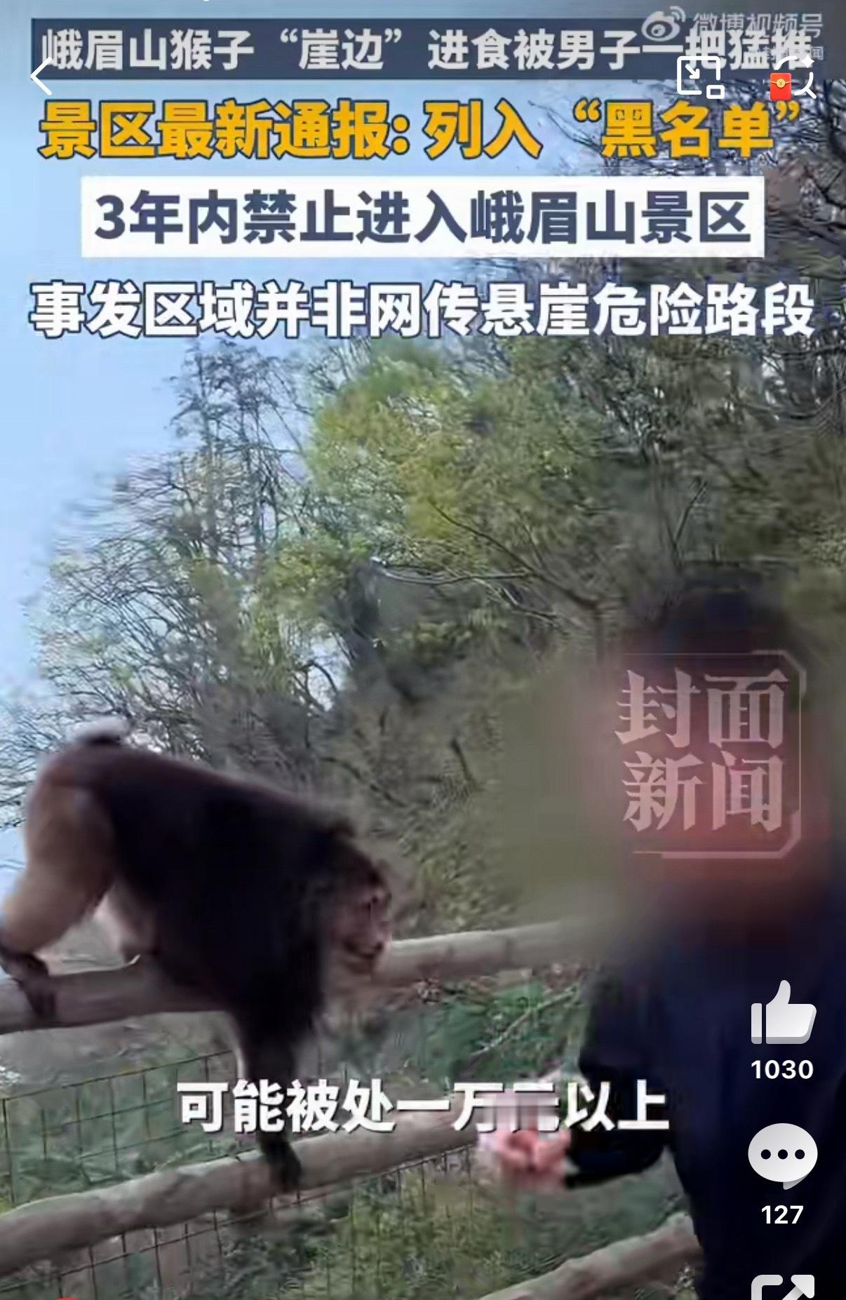 这波我站猴子，属于谋杀猴未遂了！峨眉山景区通报男子猛推猴子