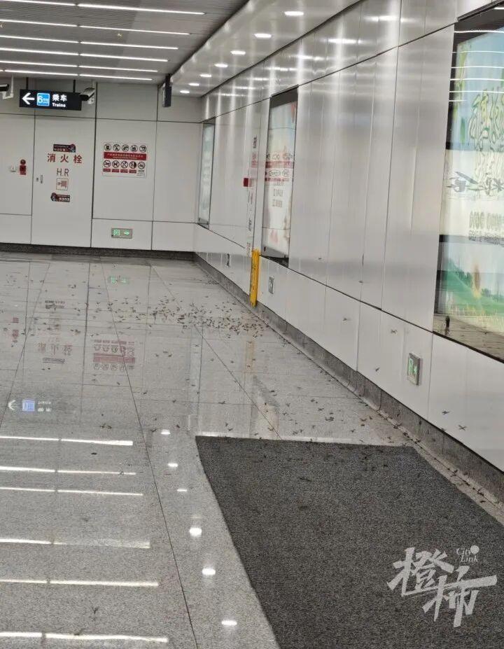 7 月 5 日凌晨 1 点 43 分，网友 “拜见香菜大王” 在社交平台发帖吐槽