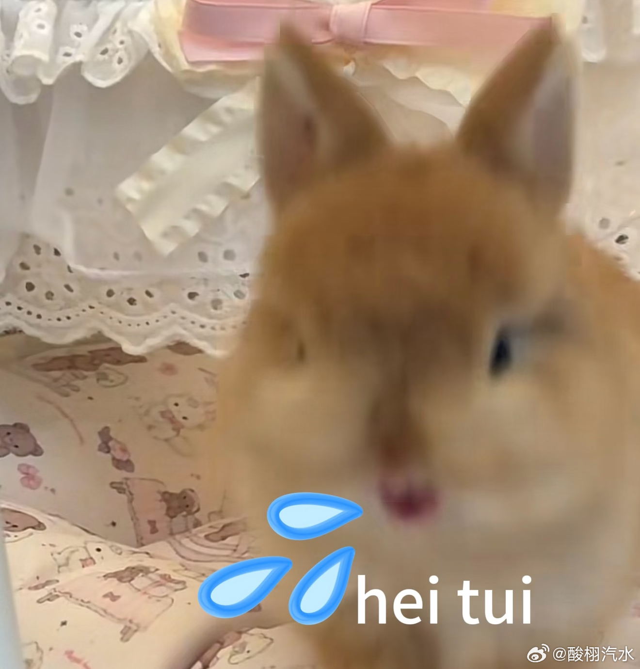 我已经准备好了明天得到亲签和失去亲签的两种形态。 