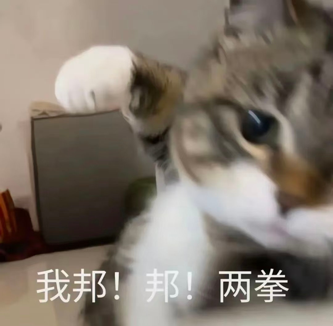 迪丽热巴 和不和我互动！说话！和不和我玩！要不要做我的铁粉金粉钻粉！我很温柔的都