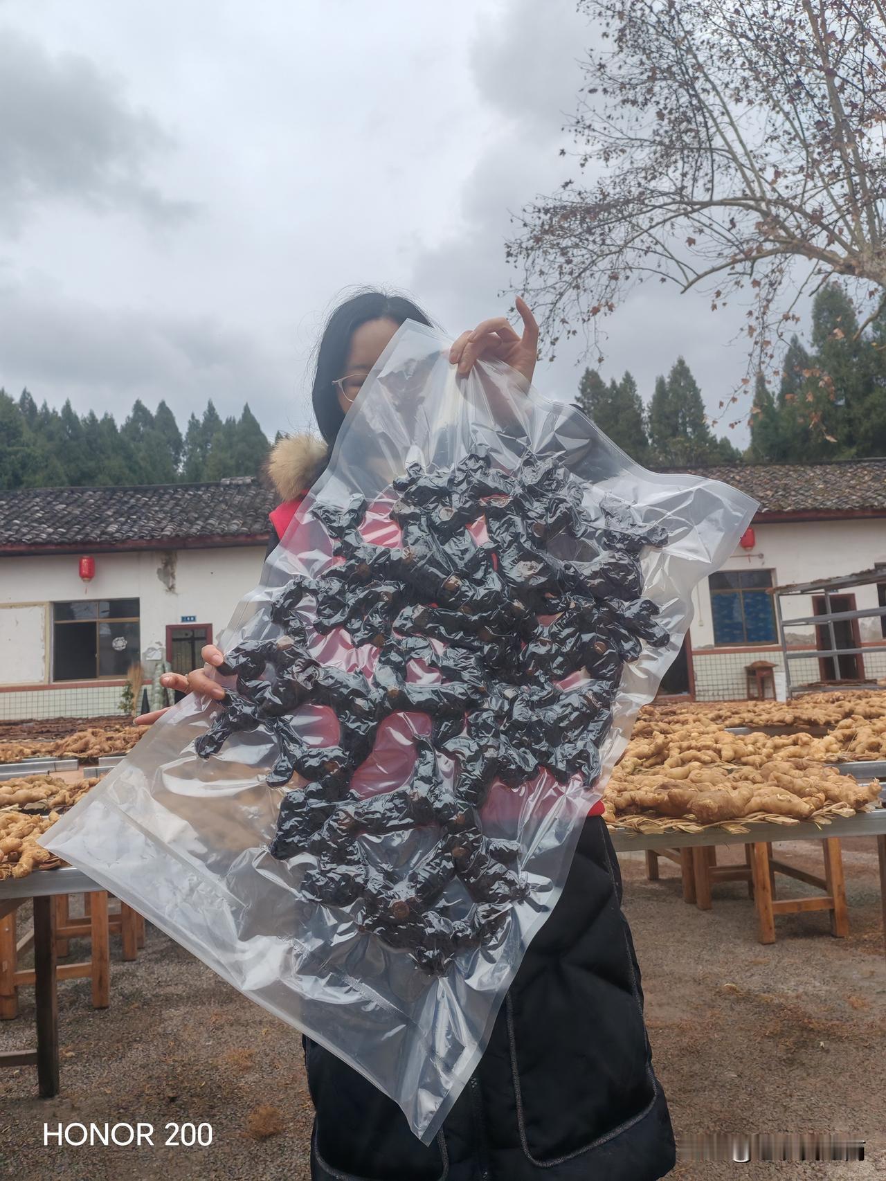 历时两个多月的黄精王，今天终于出成品了，40多斤的黄精王，通过九蒸九晒，白天太阳