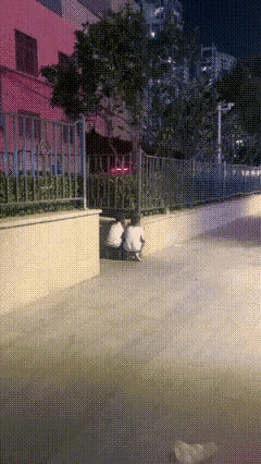 两个小朋友偷偷观察流浪猫吃东西，如果他们能够喜欢小动物的方式来观察，这是非常好的