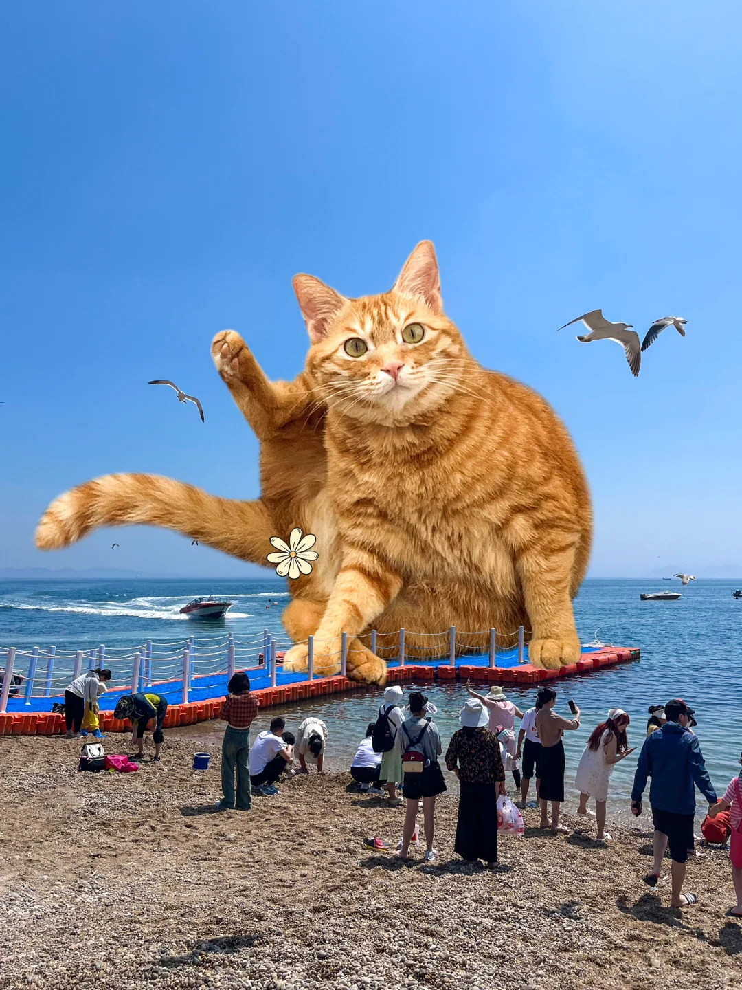 听说现在流行养大猫？