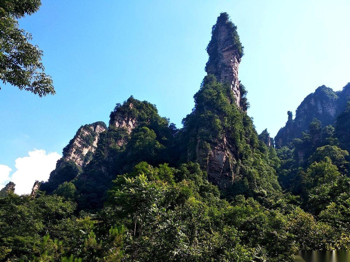 村里的食堂，关门了。
宝柱叔贴的告示，红纸黑字，就跟当初开业一样喜庆，但说的是“