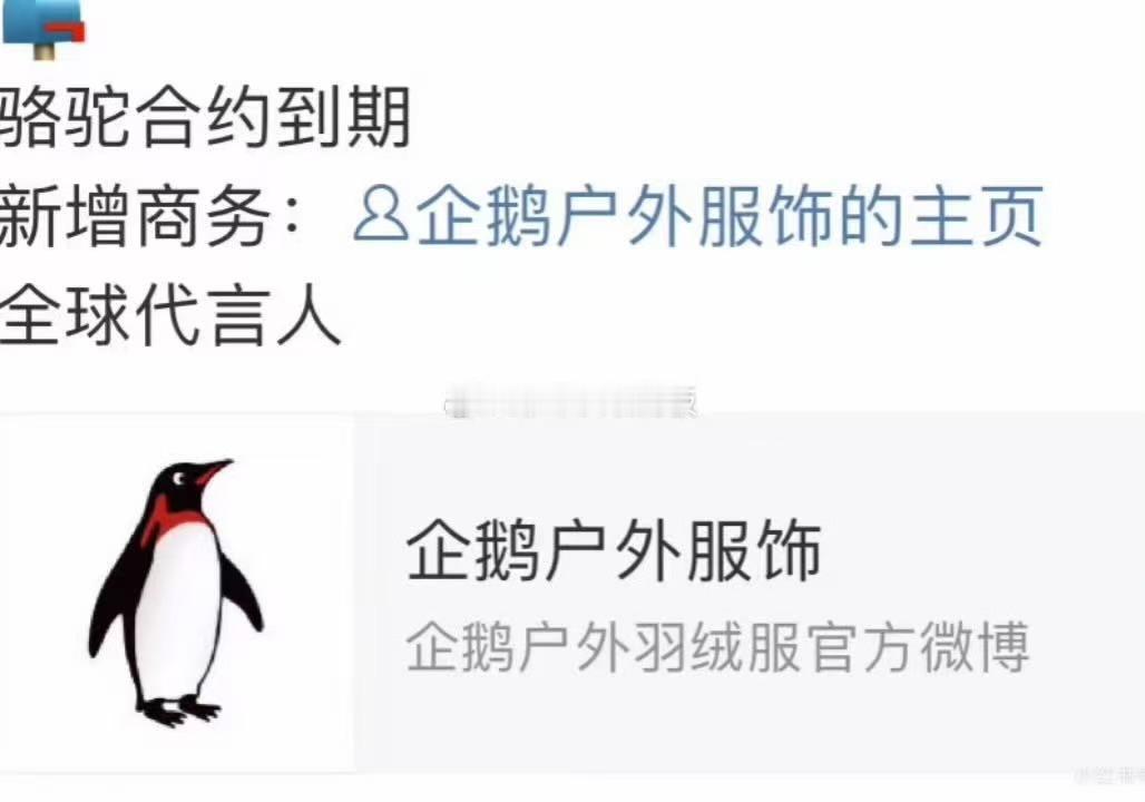 Angelababy代言企鹅Angelababy企鹅预热Angelababy企鹅