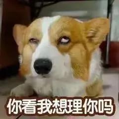 虚伪狡诈功利短视,是怎么来的?
世俗间，少不了这些人！
木经书，全是为这些人准备