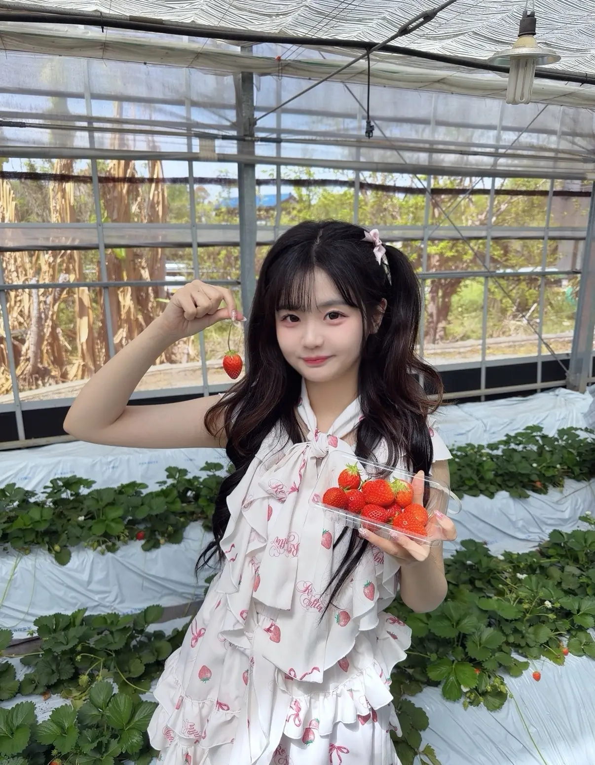 黄怡慈 摘草莓🍓