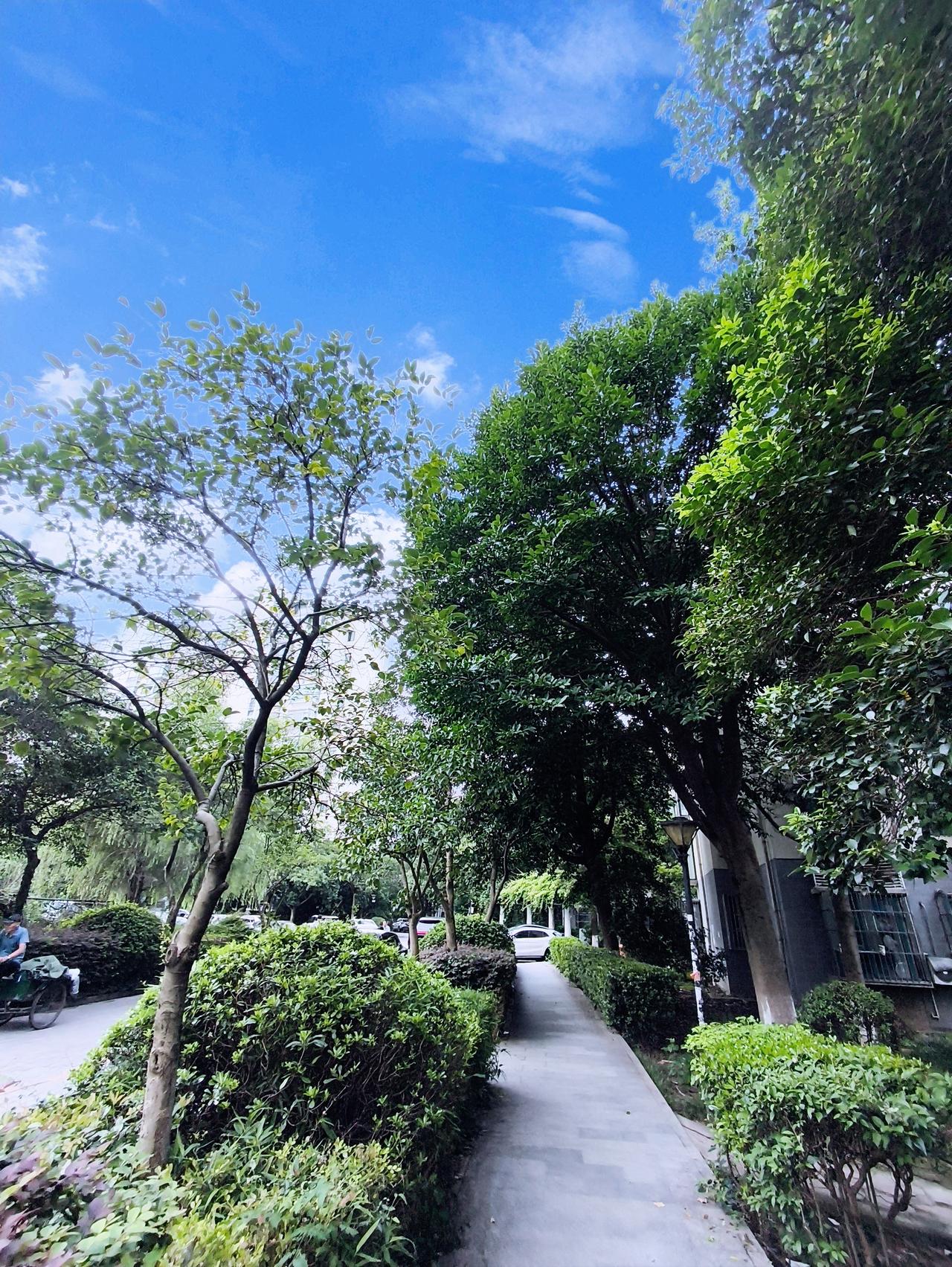 台风“红霞”来了！中央气象台都发布橙色预警了，它正以30 - 35公里每小时的速