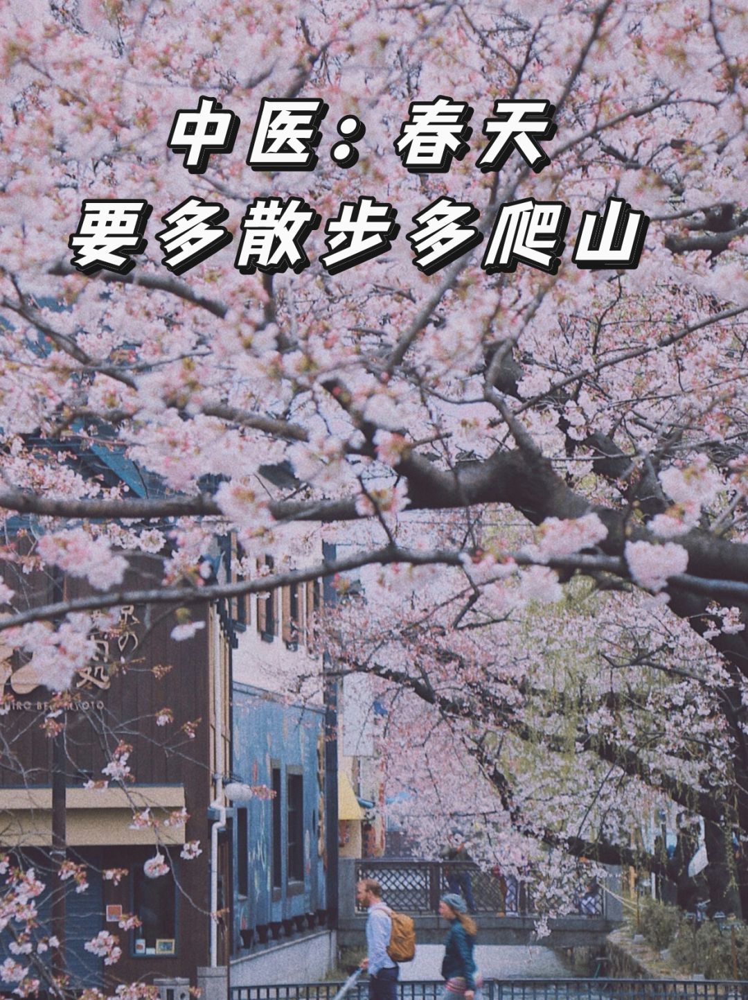 春天真的很适合散步爬山