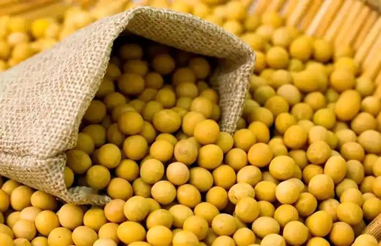 胡锡进曾说：特朗普团队已经意识到，在关税战中，大豆正成为中国除稀土外又一个强有力