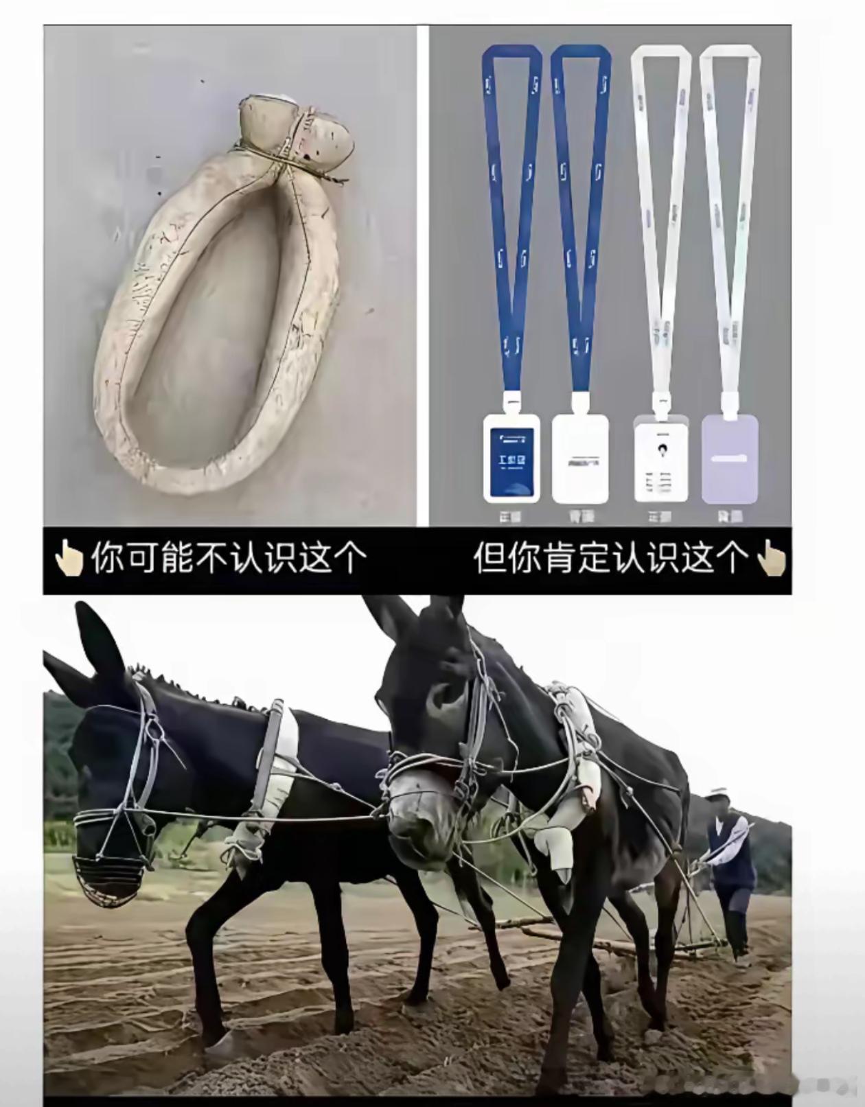 分享图片 