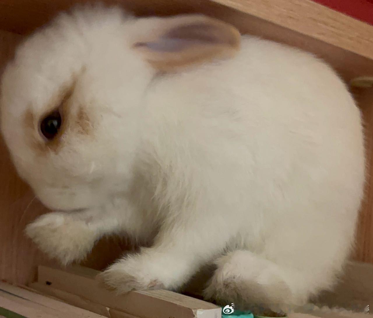 14220🐇【】耗儿 