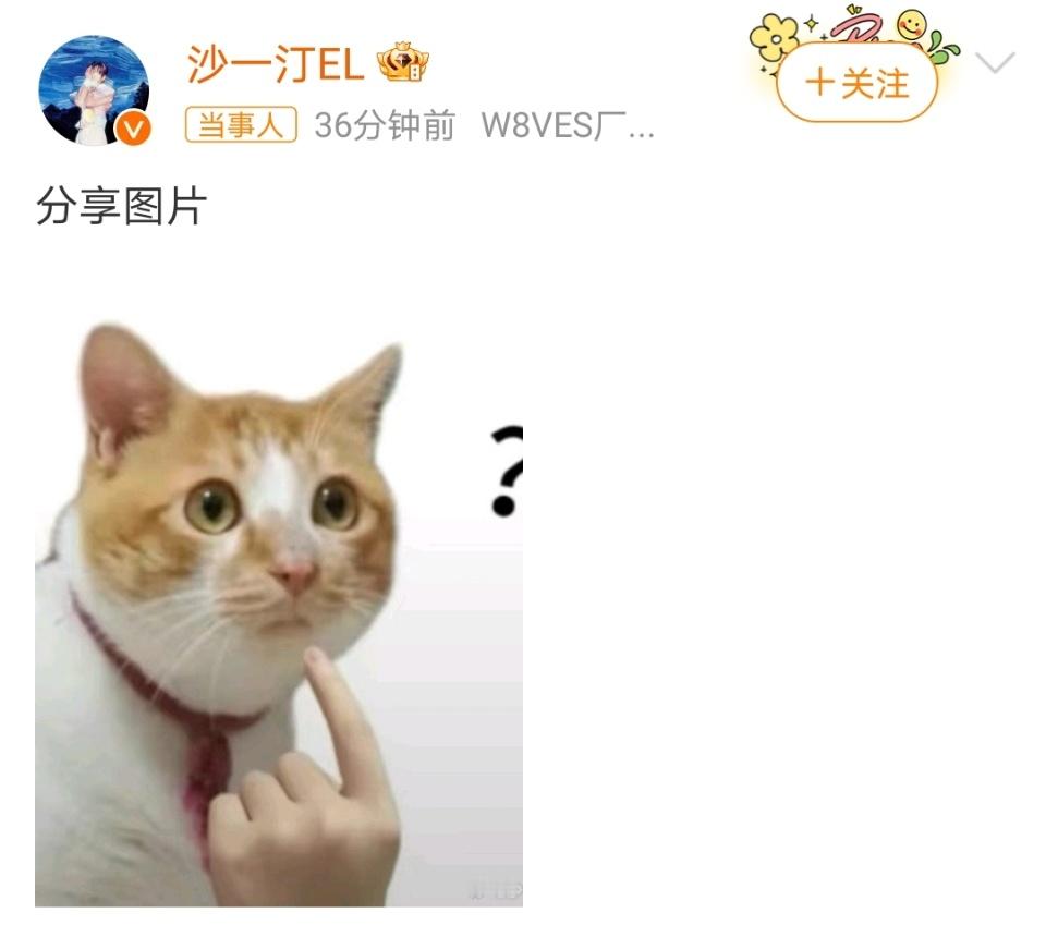 沙一汀 天塌了 笑晕了沙一汀：已老实，求放过[允悲][来] 
