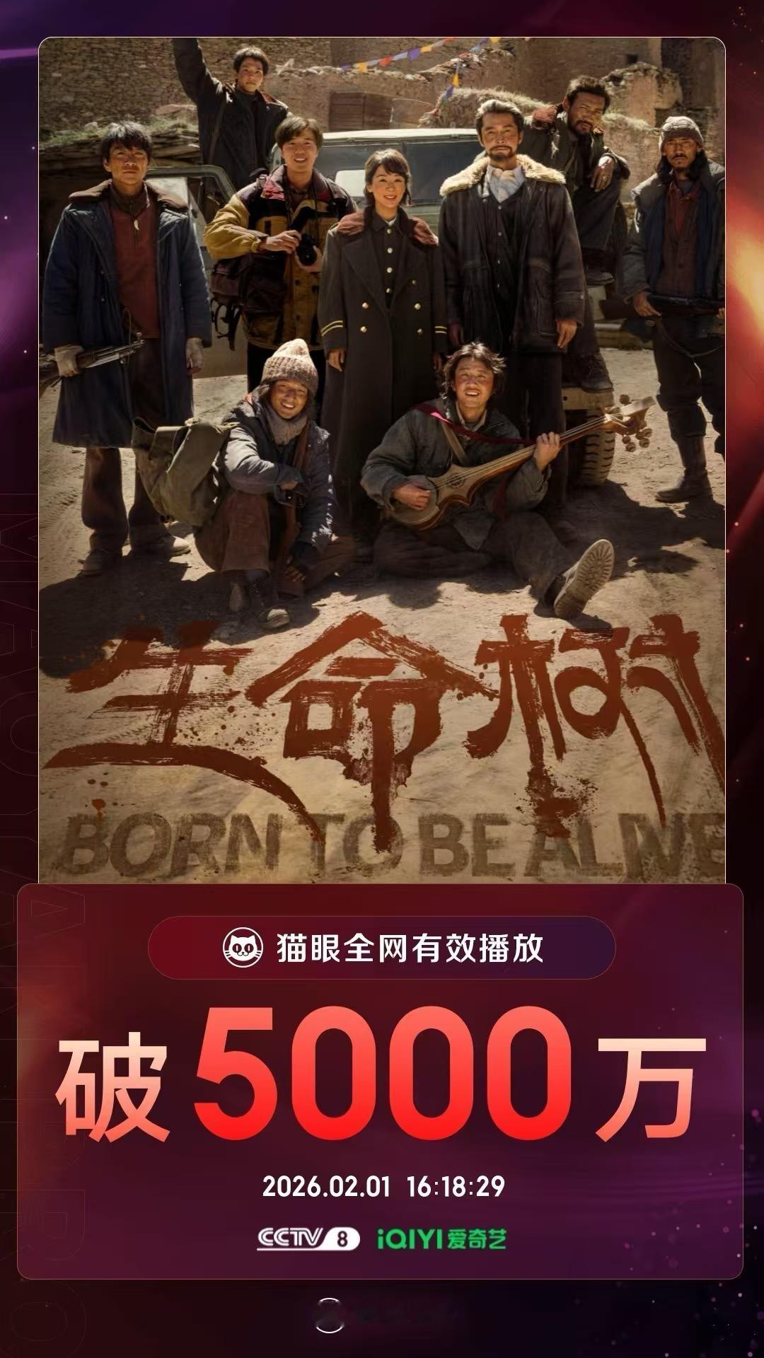 电视剧生命树生命树冲鸭