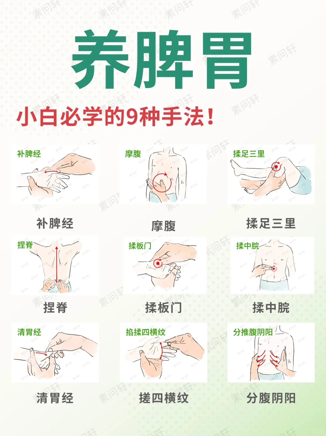 从零学养脾胃✅小白必学的9种方法‼